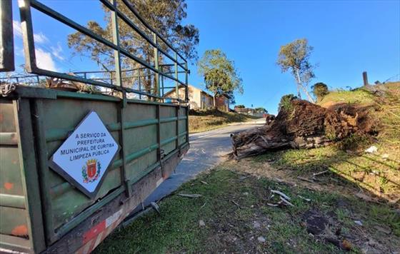 Equipes da Prefeitura atendem ocorrncias causadas pelos fortes ventos