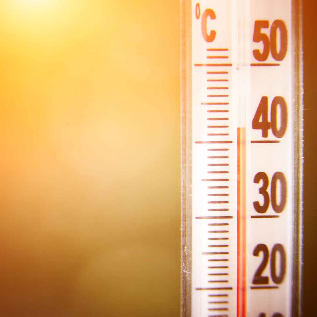 Información sobre el Plan de Vigilancia y Control de los Efectos de las Olas de Calor sobre la salud