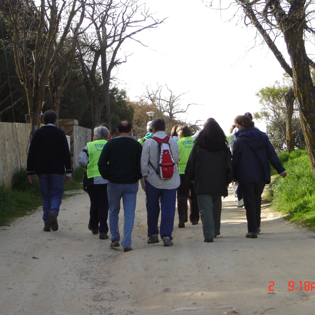 Nuevas rutas para mayores de 65 años en el último trimestre del año