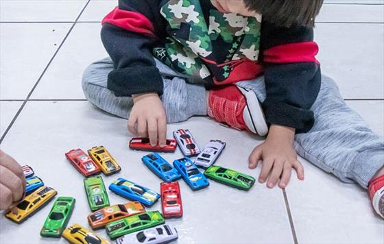 Greca lana protocolo para acolhimento de crianas e adolescentes