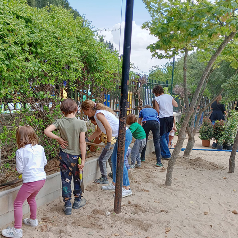 Un patio más verde en el CEIP Ntra. Sra. de Lourdes